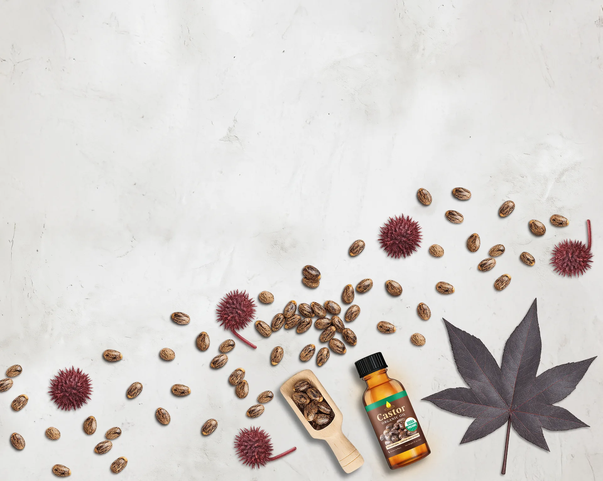 Organic Castor organic castor oil