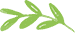 Green watercolor botanical leaf illustration
