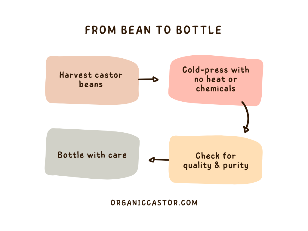 Castor Oil Production Flowchart